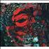 Warpaint The Fool CD album UK WDRCDTH521244