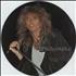 Whitesnake The Chris Tetley Interviews picture disc LP UK WHIPDTH219051