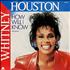 Whitney Houston How Will I Know 7