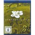 Yes Symphonic Live Blu Ray UK YESBRSY822168