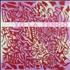 Yo La Tengo I Am Not Afraid Of You And I'll Beat Your Ass CD album UK YLGCDIA372581