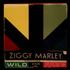 Ziggy Marley Wild And Free CD-R acetate US ZGMCRWI540802
