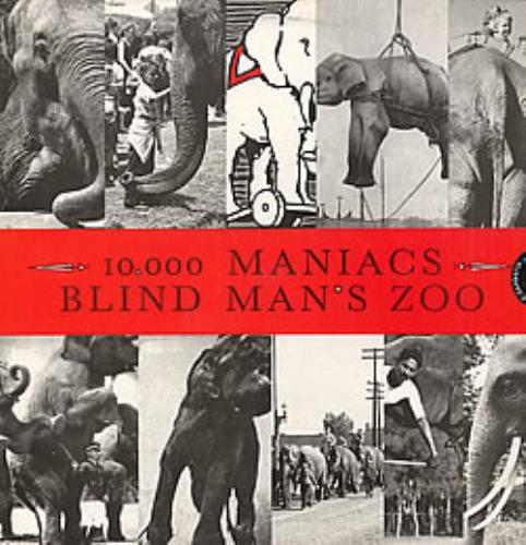 10,000 Maniacs Blind Man's Zoo vinyl LP album (LP record) Venezuelan 100LPBL264194