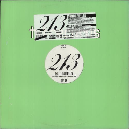 213 Groupie Luv 12" vinyl single (12 inch record / Maxi-single) US 91612GR856569