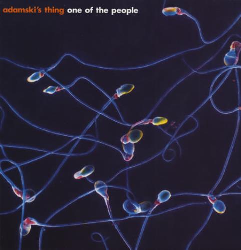 Adamski One Of The People 12" vinyl single (12 inch record / Maxi-single) UK SKI12ON391191