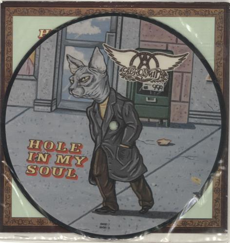 Aerosmith Hole In My Soul 7" vinyl picture disc (7 inch picture disc single) European AER7PHO690674