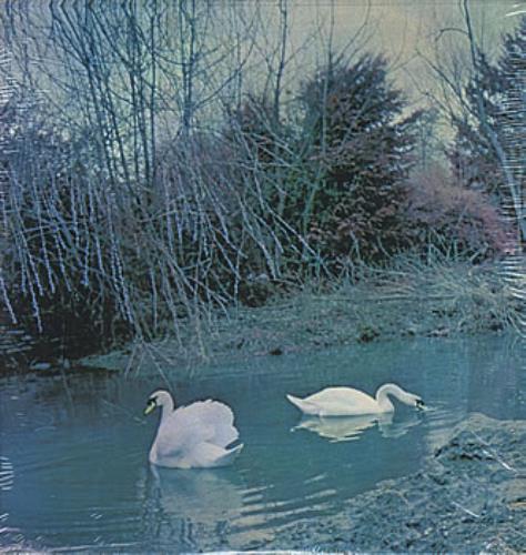 Affinity Affinity - Sealed vinyl LP album (LP record) US AF-LPAF380432