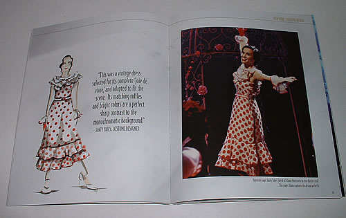 Alanis Morissette De-Lovely media press kit US ANSKIDE313775