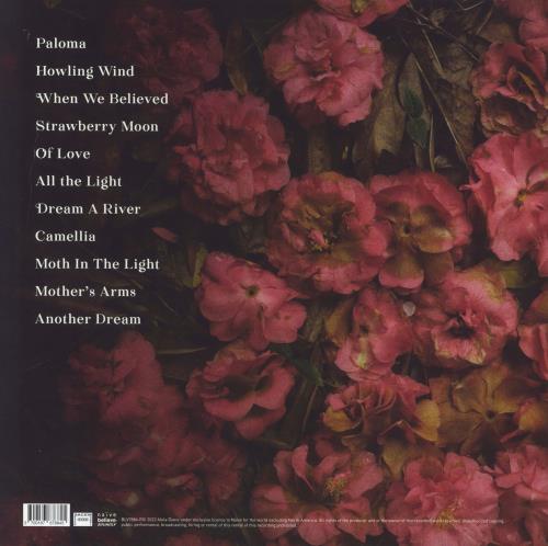 Alela Diane Looking Glass vinyl LP album (LP record) UK A3FLPLO831262