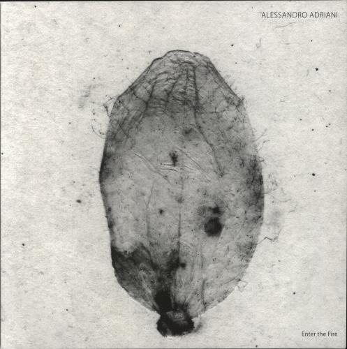 Alessandro Adriani Enter the Fire 12" vinyl single (12 inch record / Maxi-single) German 78W12EN851514