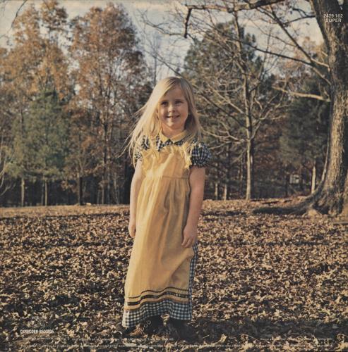 Allman Brothers Band Brothers And Sisters + Insert vinyl LP album (LP record) UK ABRLPBR130229