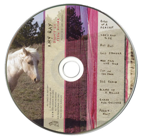 Amy Ray Didn't It Feel Kinder CD album (CDLP) US AYYCDDI483426