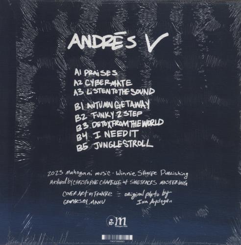 Andr�s Andr�s V vinyl LP album (LP record) US 79KLPAN850673