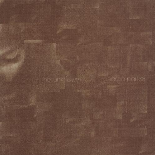 Andrea Parker The Unknown 12" vinyl single (12 inch record / Maxi-single) UK APD12TH848305