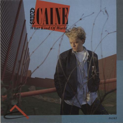Andrew Caine What Kind Of World 7" vinyl single (7 inch record / 45) UK A0H07WH684193
