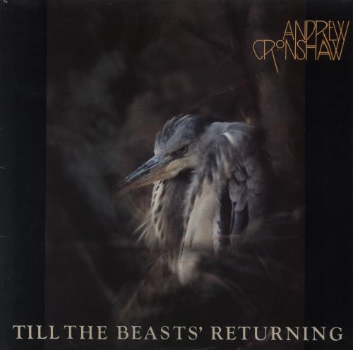 Andrew Cronshaw Till The Beasts' Returning-EX vinyl LP album (LP record) UK 38GLPTI855287