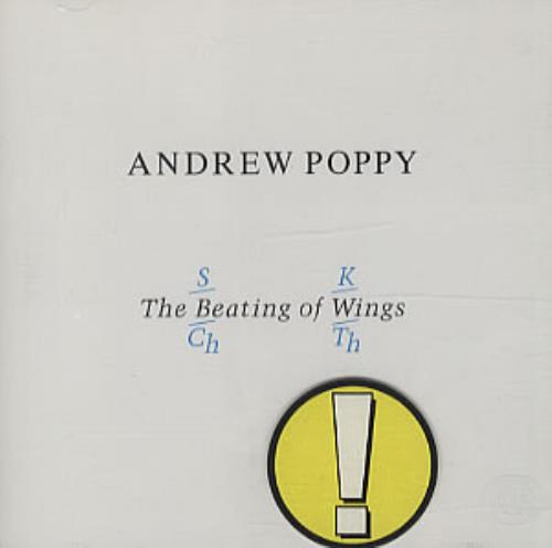 Andrew Poppy The Beating Of Wings CD album (CDLP) French ADPCDTH84346