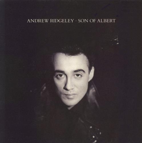 Andrew Ridgeley Son Of Albert - Gold Promo Stamped Sleeve vinyl LP album (LP record) UK RDGLPSO828332