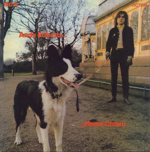 Andy Roberts Home Grown - 1st vinyl LP album (LP record) UK ND1LPHO779143