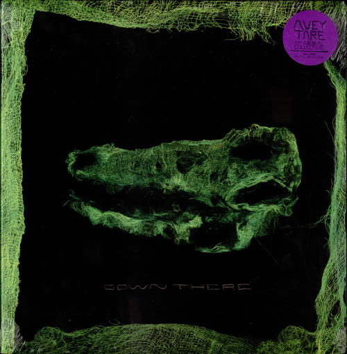 Animal Collective Down There vinyl LP album (LP record) US AN6LPDO526536