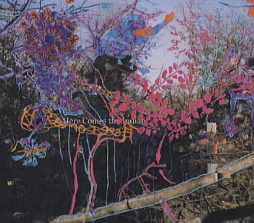 Animal Collective Here Comes The Indian CD album (CDLP) US AN6CDHE332164