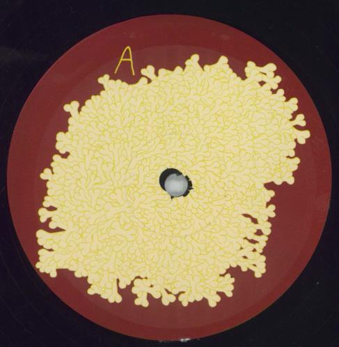 Animal Collective Sung Tongs 2-LP vinyl record set (Double LP Album) US AN62LSU822265