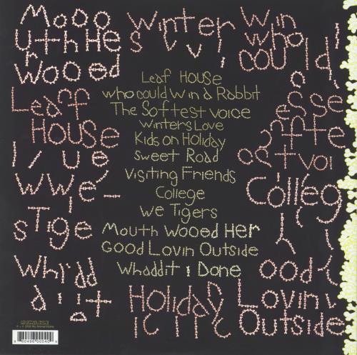 Animal Collective Sung Tongs 2-LP vinyl record set (Double LP Album) US AN62LSU822265