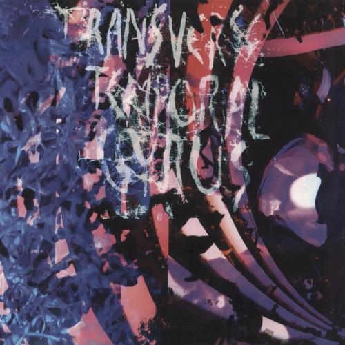 Animal Collective Transverse Temporal Gyrus - RSD12 12" vinyl single (12 inch record / Maxi-single) US AN612TR865214