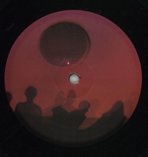 Animal Collective Transverse Temporal Gyrus - RSD12 12" vinyl single (12 inch record / Maxi-single) US AN612TR865214