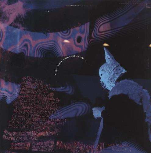 Animal Collective Transverse Temporal Gyrus - RSD12 12" vinyl single (12 inch record / Maxi-single) US AN612TR865214