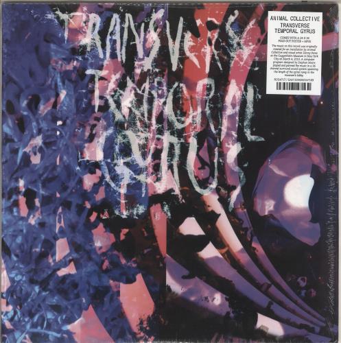 Animal Collective Transverse Temporal Gyrus 12" vinyl single (12 inch record / Maxi-single) UK AN612TR733633