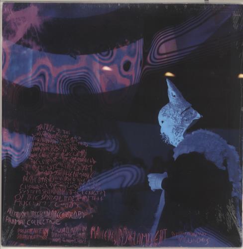 Animal Collective Transverse Temporal Gyrus 12" vinyl single (12 inch record / Maxi-single) UK AN612TR733633