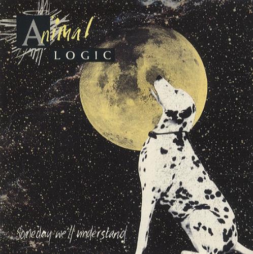 Animal Logic Someday We'll Understand 7" vinyl single (7 inch record / 45) UK AGC07SO189909