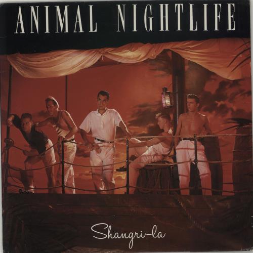 Animal Nightlife Shangri-La vinyl LP album (LP record) UK AGTLPSH240906