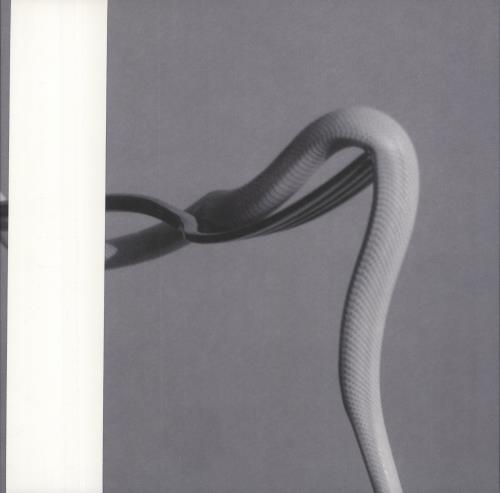 Animals As Leaders Parrhesia - Pink Opaque Vinyl vinyl LP album (LP record) US 6PVLPPA862125