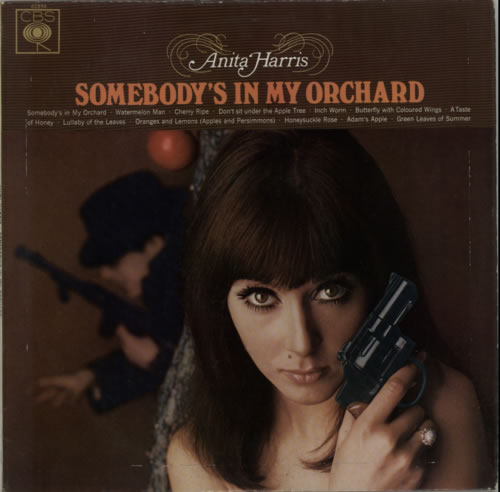 Anita Harris Somebody's In My Orchard vinyl LP album (LP record) UK AHQLPSO613481