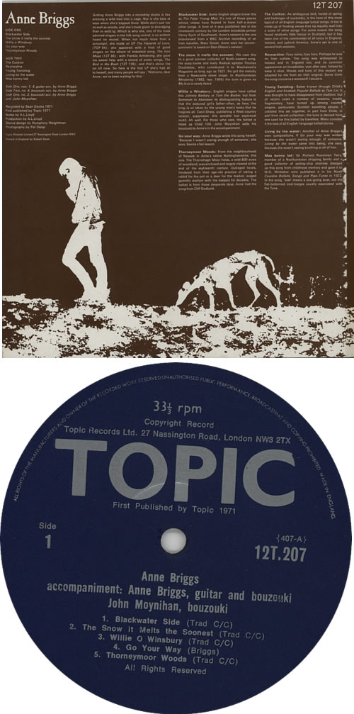 Anne Briggs Anne Briggs vinyl LP album (LP record) UK ARGLPAN54095