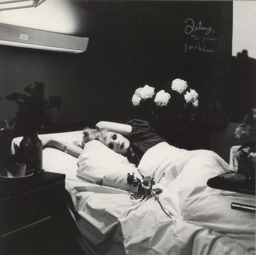 Anohni & The Johnsons I Am A Bird Now vinyl LP album (LP record) UK A&JLPIA870940