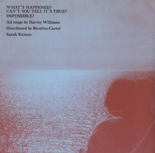 Another Sunny Day What's Happened? 7" vinyl single (7 inch record / 45) UK A\D07WH446381