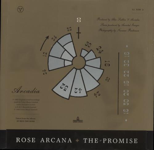 Arcadia The Promise - Gold Sleeve 12" vinyl single (12 inch record / Maxi-single) UK ARC12TH15078