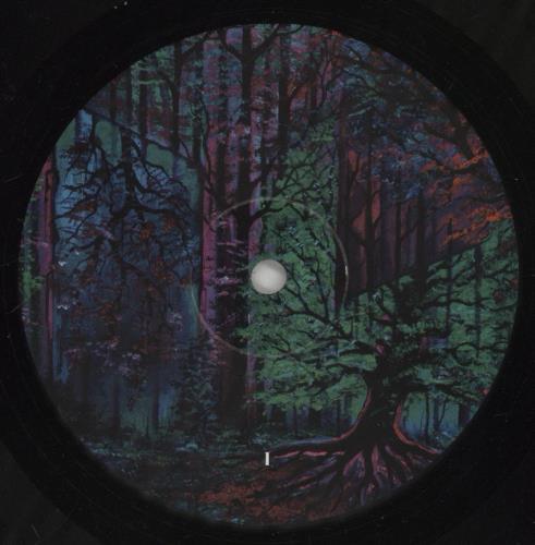 Ashbringer Absolution 2-LP vinyl record set (Double LP Album) US 88H2LAB862897