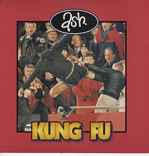 Ash Kung Fu display UK A-SDIKU318025