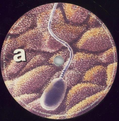 Baby Chaos Sperm 10" vinyl single (10 inch record) UK BCS10SP88340