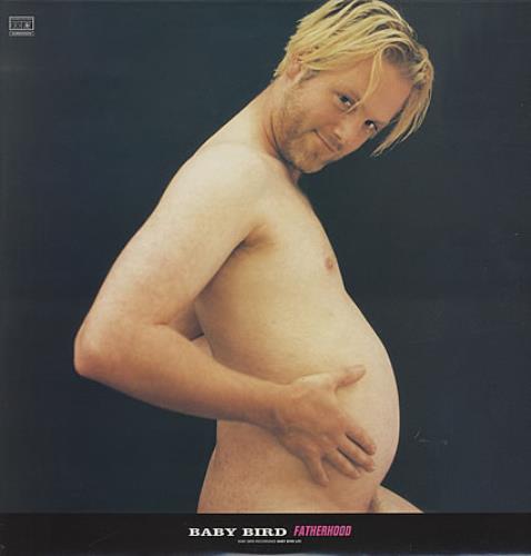 Babybird Fatherhood vinyl LP album (LP record) UK BYBLPFA81947