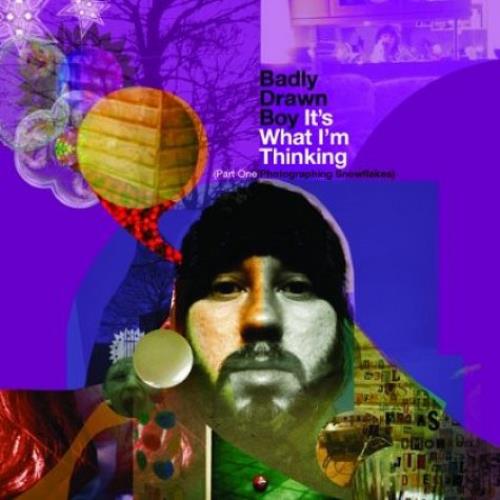 Badly Drawn Boy It's What I'm Thinking vinyl LP album (LP record) UK BDWLPIT527460