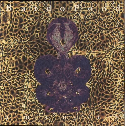 Bardo Pond Amanita - 1st 2-LP vinyl record set (Double LP Album) US B7-2LAM829240