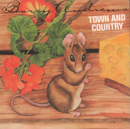 Barry Andrews Town And Country 7" vinyl single (7 inch record / 45) UK YAW07TO189441