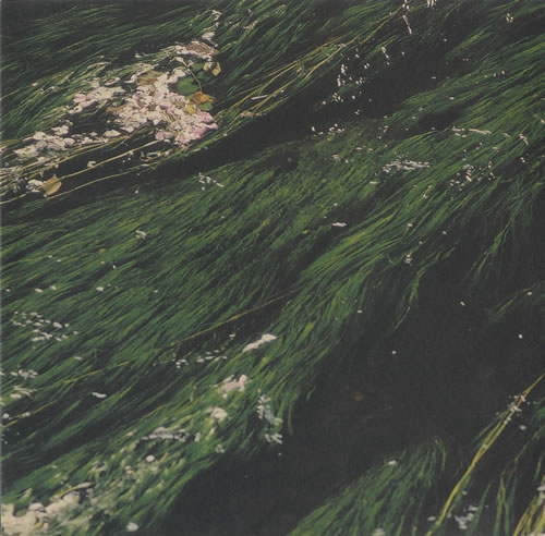 Beth Hirsch Miner's Son 10" vinyl single (10 inch record) French BE310MI553610