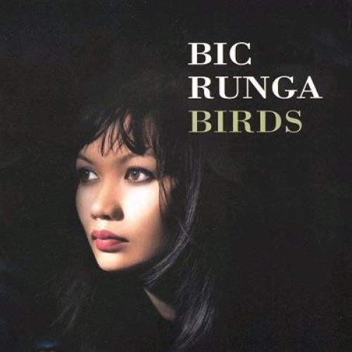 Bic Runga Birds CD album (CDLP) UK BICCDBI358914