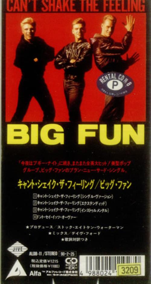 Big Fun Can't Shake The Feeling 3" CD single (CD3) Japanese FUNC3CA548247
